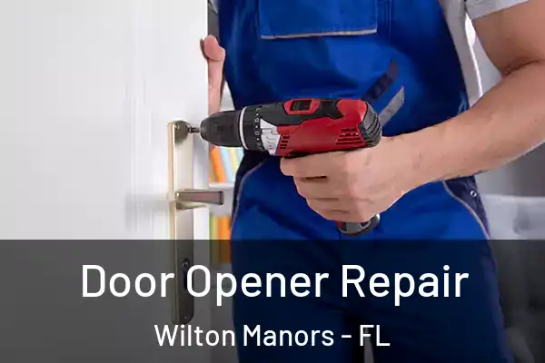 Door Opener Repair Wilton Manors - FL