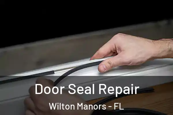 Door Seal Repair Wilton Manors - FL
