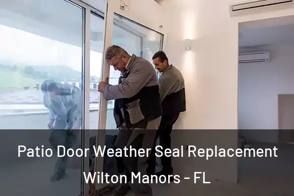 Patio Door Weather Seal Replacement Wilton Manors - FL
