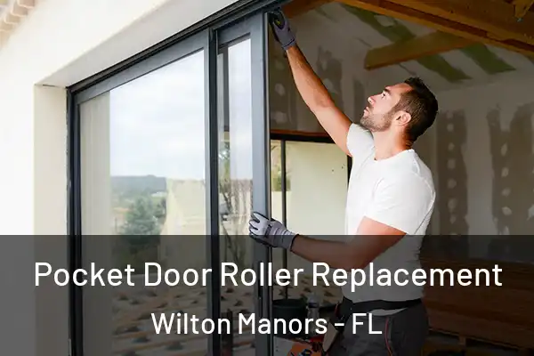 Pocket Door Roller Replacement Wilton Manors - FL
